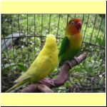 nhatrang_01.html