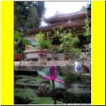 pict3628.html