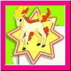 PONYTA